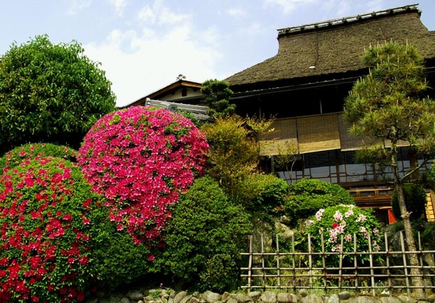 Киото ботанический сад японский сад пагода